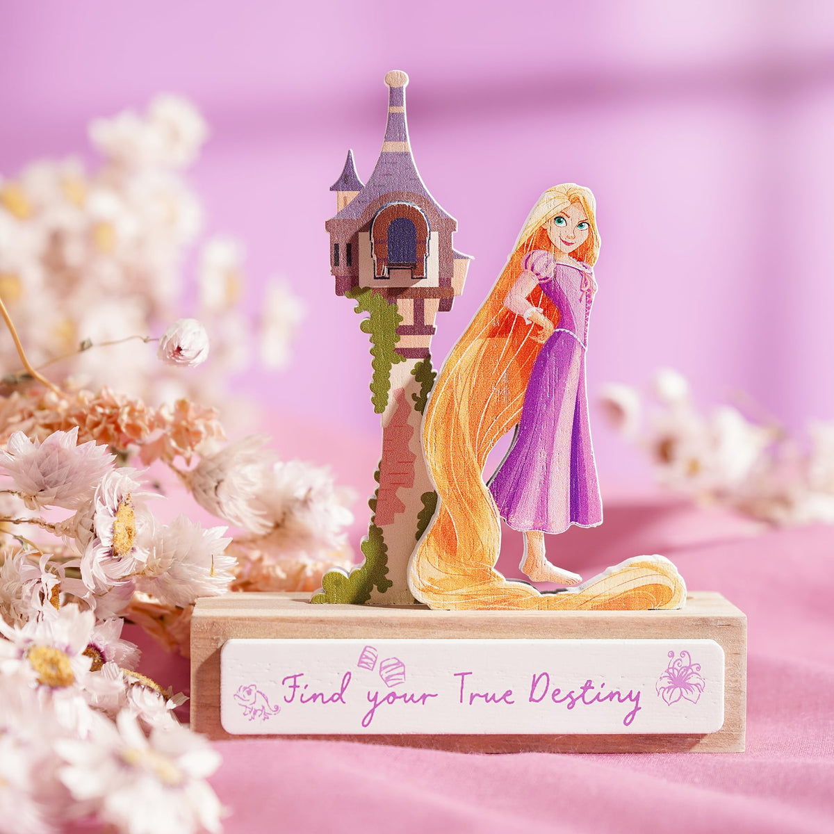 Mini plaque décorative Raiponce « Find your true destiny »