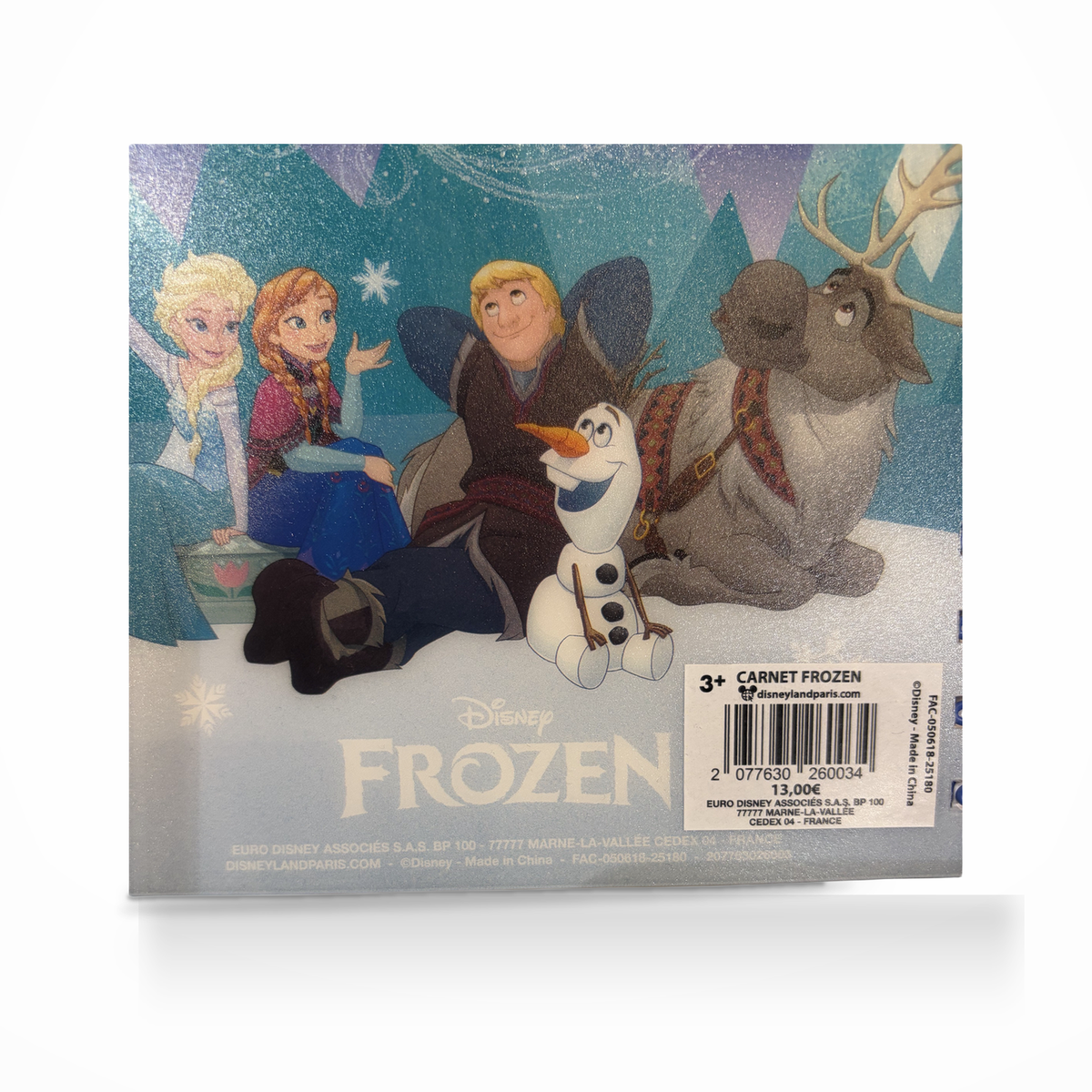『アナと雪の女王』ノートの裏表紙とキャラクターの詳細、白背景