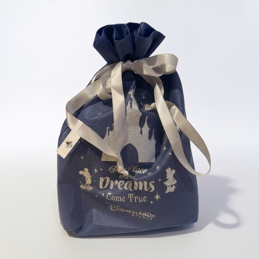 Castle, Mickey and Minnie gift pouch – Disneyland Paris – Once Upon Magic