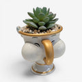 Once Upon Magic's white ceramic Chip cup planter with gold trim, featuring a succulent plant and pebbles.