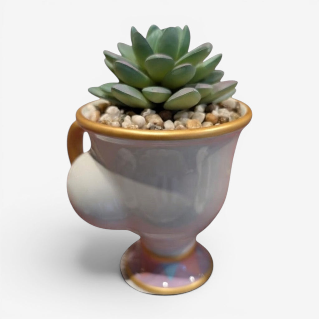 Once Upon Magic Disneyland Paris exclusive Chip the teacup planter with a succulent and pebbles. Pearlescent finish with gold trim.