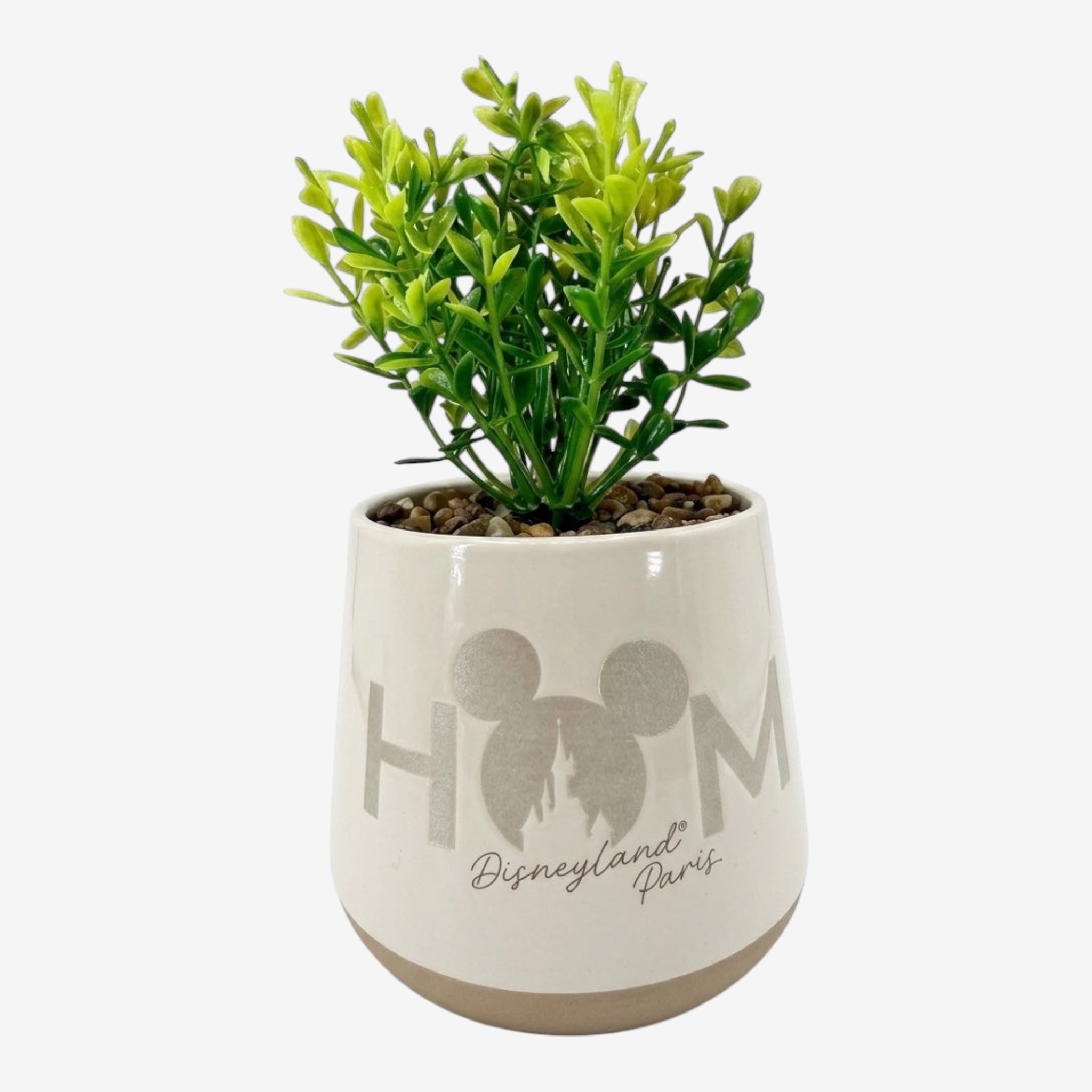HOME装飾用鉢植え（人工植物付き）｜ディズニーランド・パリ – Once
