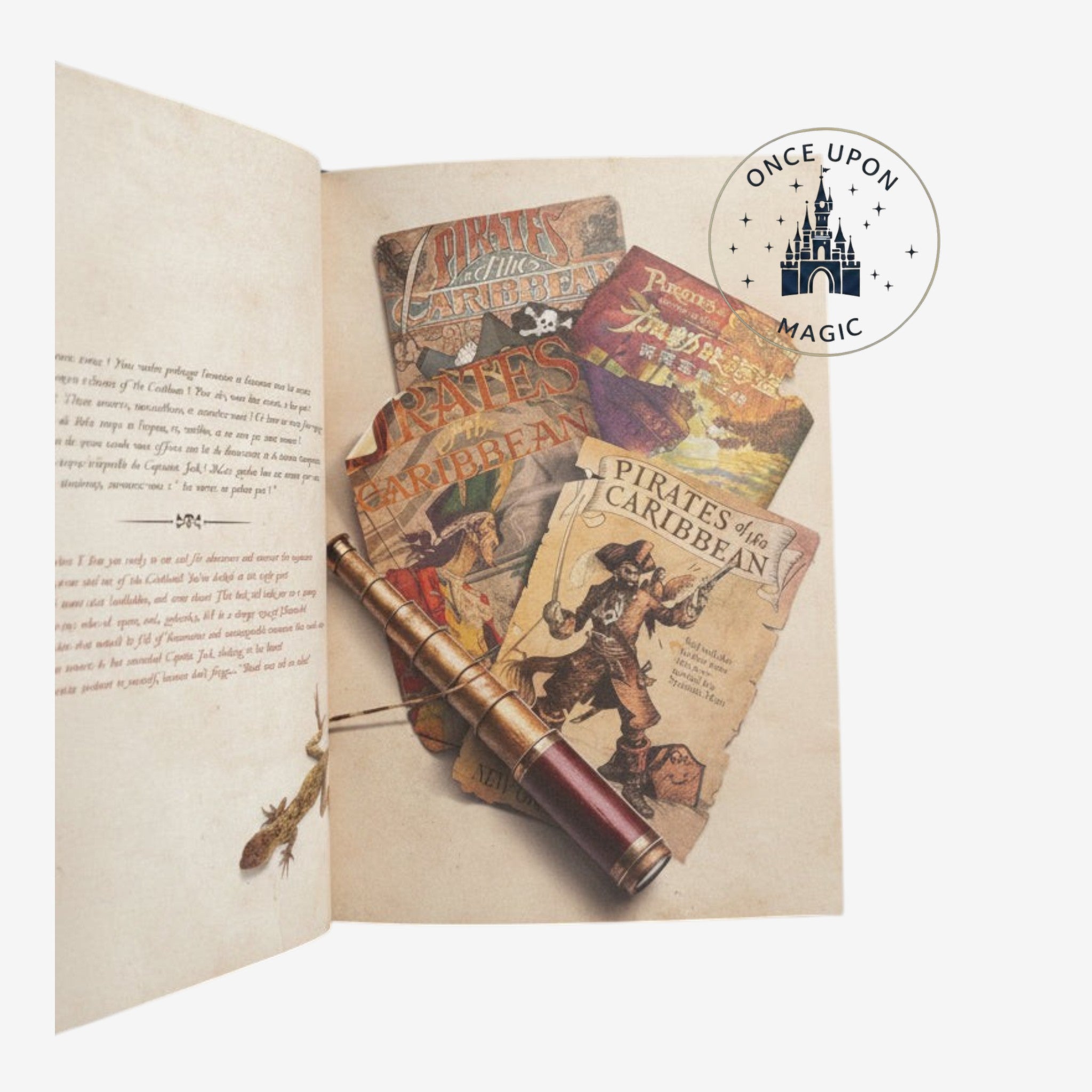Livre Pirates des Caraïbes Disneyland Paris détail